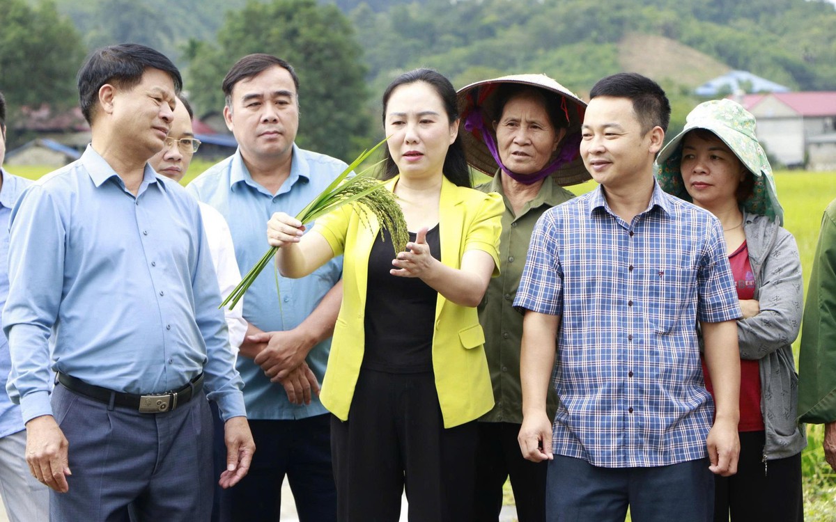 Thái Nguyên: Đưa khoa học, công nghệ và chuyển đổi số đến vùng đồng bào dân tộc thiểu số, miền núi
