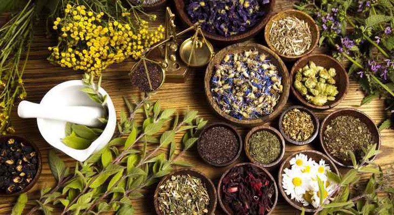 Chỉ đạo, điều hành của Chính phủ, Thủ tướng Chính phủ nổi bật tuần 10-16/10/2026- Ảnh 3.