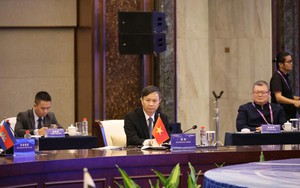 Việt Nam đăng cai Hội nghị COSTI lần thứ 90 v&agrave; c&aacute;c hội nghị li&ecirc;n quan tại Đ&agrave; Nẵng- Ảnh 4.