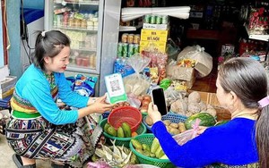 Giảm ngh&egrave;o từ nu&ocirc;i ngựa bạch- Ảnh 4.