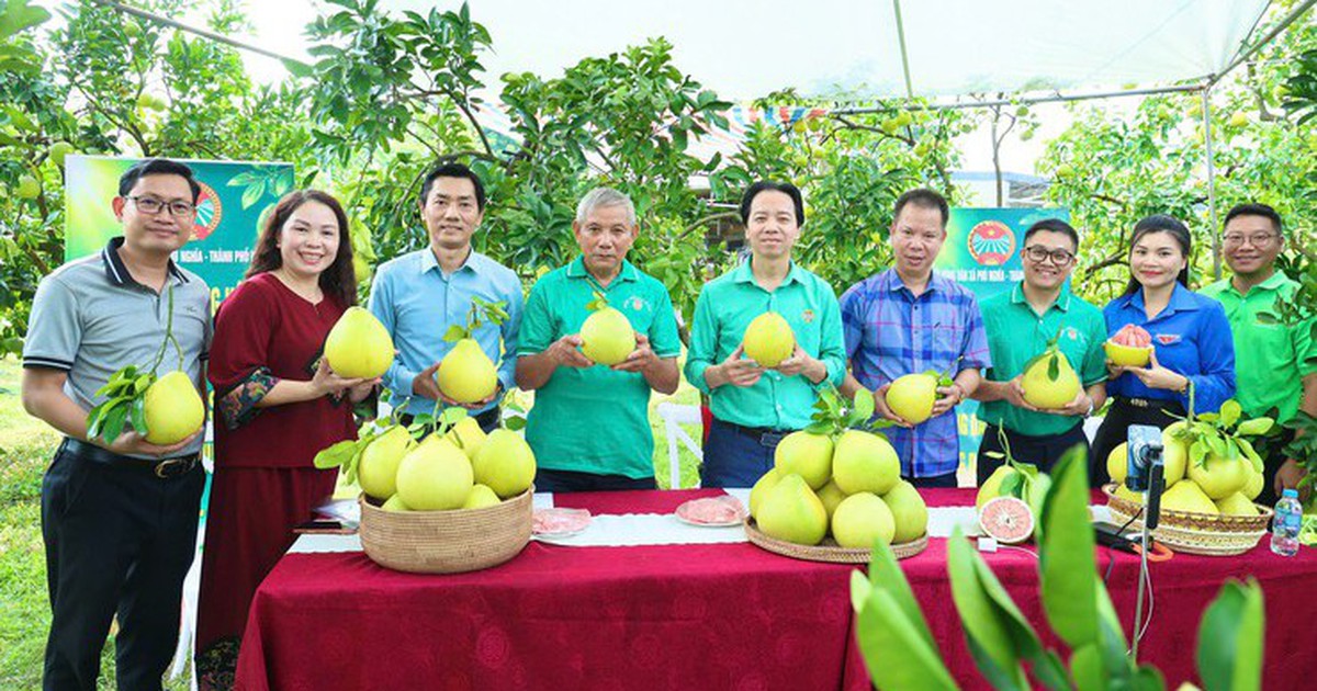 Phát huy nội lực, xây dựng nông thôn mới theo hướng hiện đại, bền vững