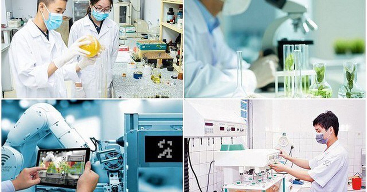 Cơ chế thu hút chuyên gia, tài năng trẻ trong hoạt động đổi mới sáng tạo, khai thác dữ liệu