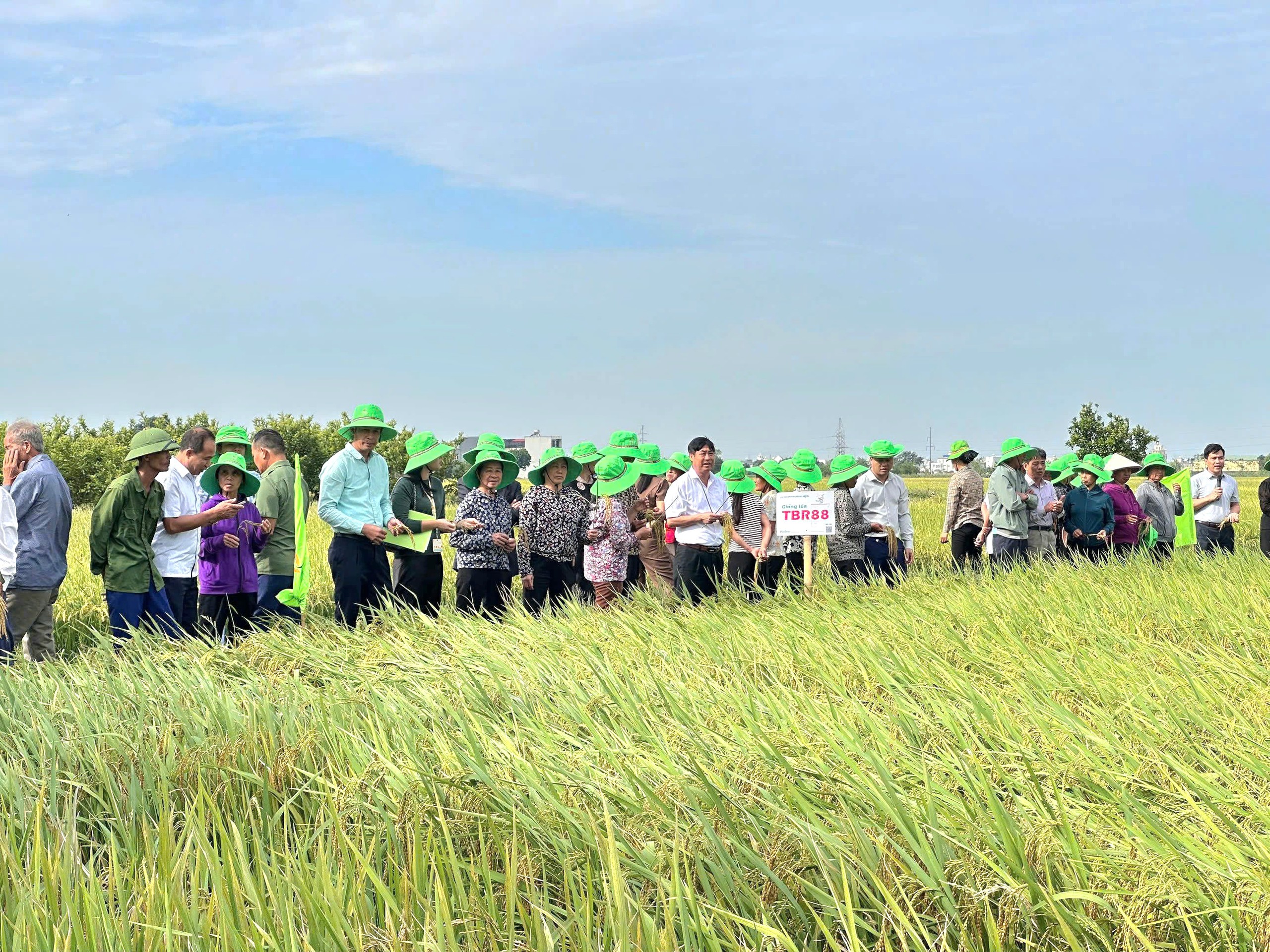 Hưng Y&ecirc;n t&igrave;m đầu ra thị trường cho 312 nhiệm vụ khoa học v&agrave; c&ocirc;ng nghệ- Ảnh 2.