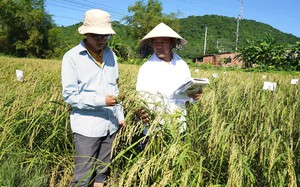 Quảng Ng&atilde;i ứng dụng khoa học c&ocirc;ng nghệ ph&aacute;t triển chăn nu&ocirc;i lợn an to&agrave;n sinh học - Ảnh 5.