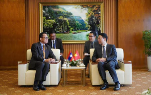 Tuần lễ Số Quốc tế Việt Nam 2026: Kết nối th&ocirc;ng minh - Quản trị AI, Kiến tạo chuyển đổi AI - Ảnh 2.