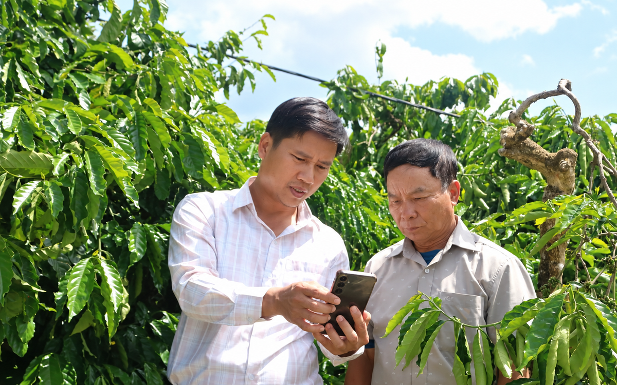 Công nghệ số mở hướng phát triển kinh tế cho nông dân Quảng Ngãi