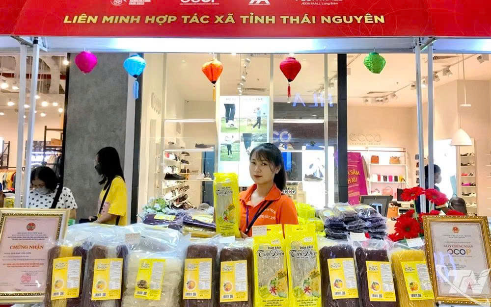 Ứng dụng c&ocirc;ng nghệ n&acirc;ng cao gi&aacute; trị sản phẩm OCOP v&ugrave;ng miền n&uacute;i- Ảnh 1.