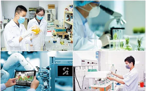 C&ocirc;ng nghệ k&egrave; hồ Ho&agrave;n Kiếm: B&agrave;i to&aacute;n kỹ thuật gắn với bảo tồn cảnh quan- Ảnh 4.