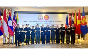 Việt Nam đăng cai Hội nghị COSTI lần thứ 90 v&agrave; c&aacute;c hội nghị li&ecirc;n quan tại Đ&agrave; Nẵng- Ảnh 6.