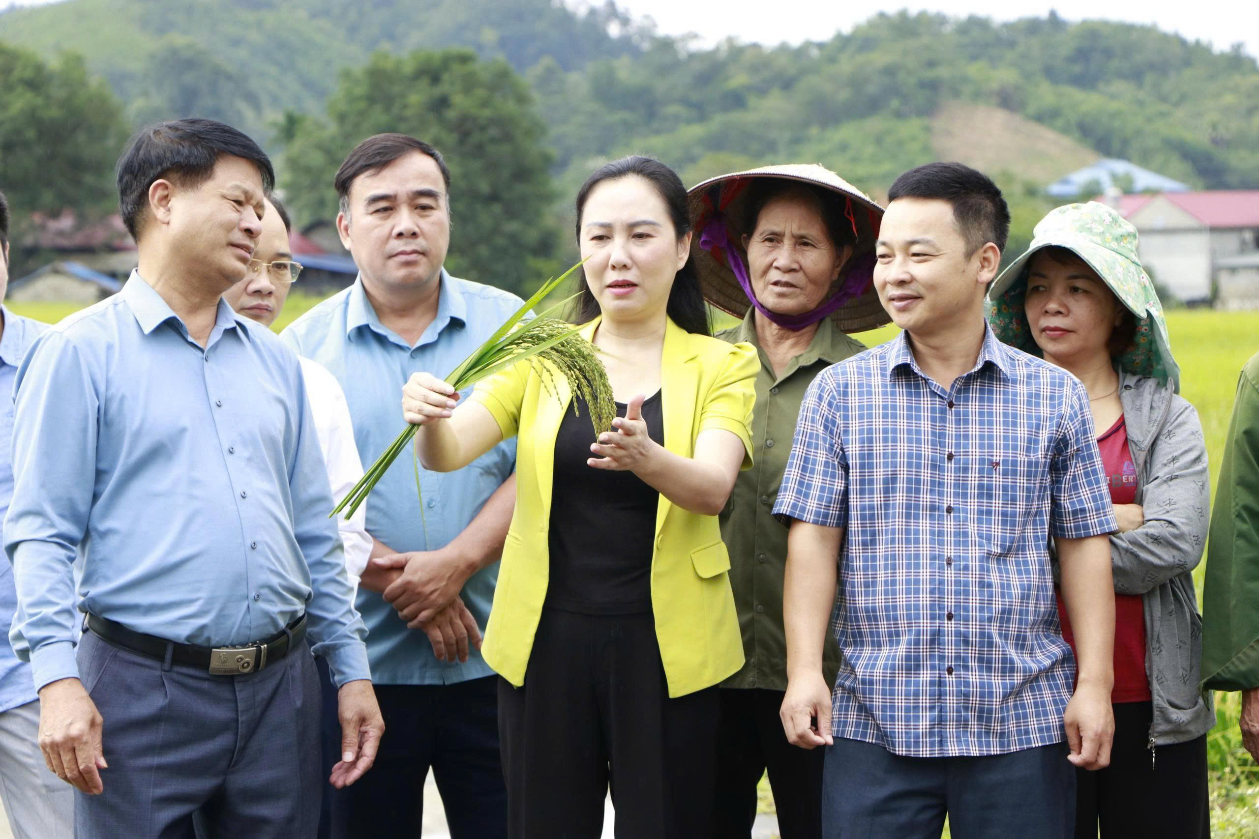 Th&aacute;i Nguy&ecirc;n: Đưa khoa học, c&ocirc;ng nghệ v&agrave; chuyển đổi số đến v&ugrave;ng đồng b&agrave;o d&acirc;n tộc thiểu số, miền n&uacute;i- Ảnh 1.