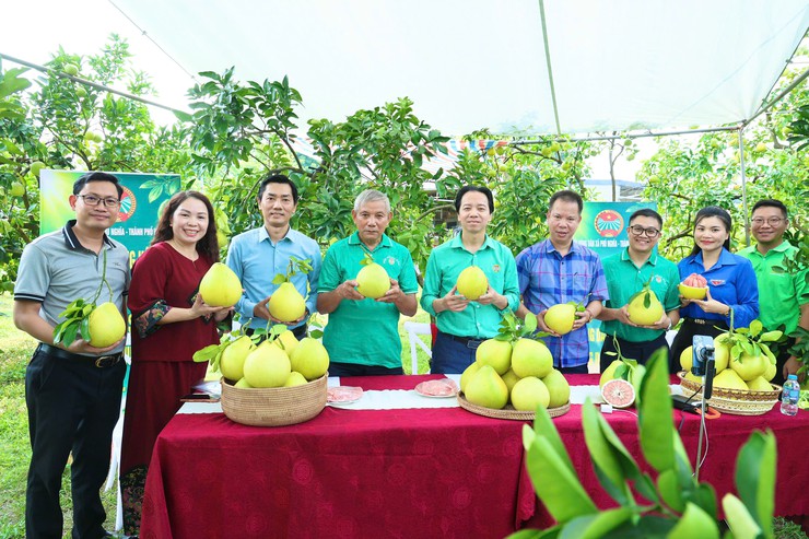 Phát huy nội lực, xây dựng nông thôn mới theo hướng hiện đại, bền vững- Ảnh 2.