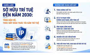 Đưa hợp t&aacute;c Việt Nam - Hoa Kỳ về sở hữu tr&iacute; tuệ th&agrave;nh h&igrave;nh mẫu tham khảo- Ảnh 7.
