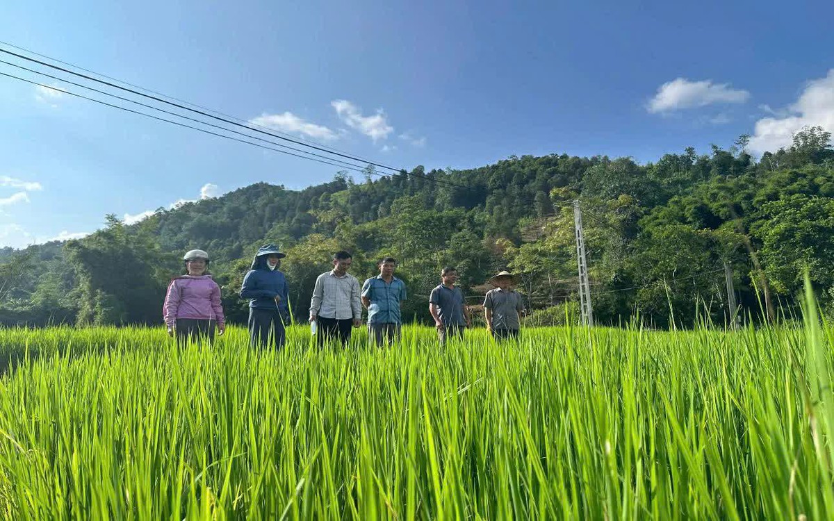 Đưa kết quả nghiên cứu khoa học vào sản xuất tại vùng nông thôn Lạng Sơn