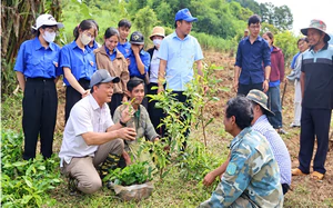 C&ocirc;ng nghệ số mở hướng ph&aacute;t triển kinh tế cho n&ocirc;ng d&acirc;n Quảng Ng&atilde;i- Ảnh 6.