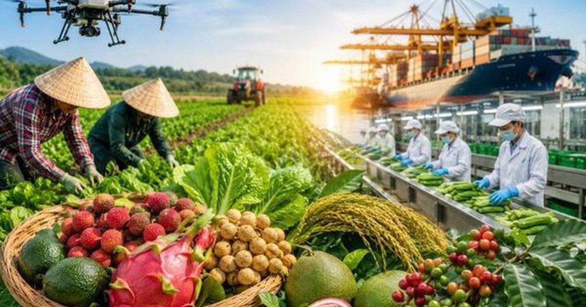 Chỉ đạo, điều hành của Chính phủ, Thủ tướng Chính phủ nổi bật tuần 10-16/10/2026