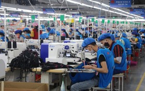 Cụm c&ocirc;ng tr&igrave;nh nghi&ecirc;n cứu đ&aacute; nh&acirc;n tạo cao cấp được đề nghị x&eacute;t Giải thưởng Nh&agrave; nước- Ảnh 10.