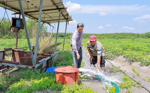 T&acirc;y Ninh tập trung giải quyết c&aacute;c 
