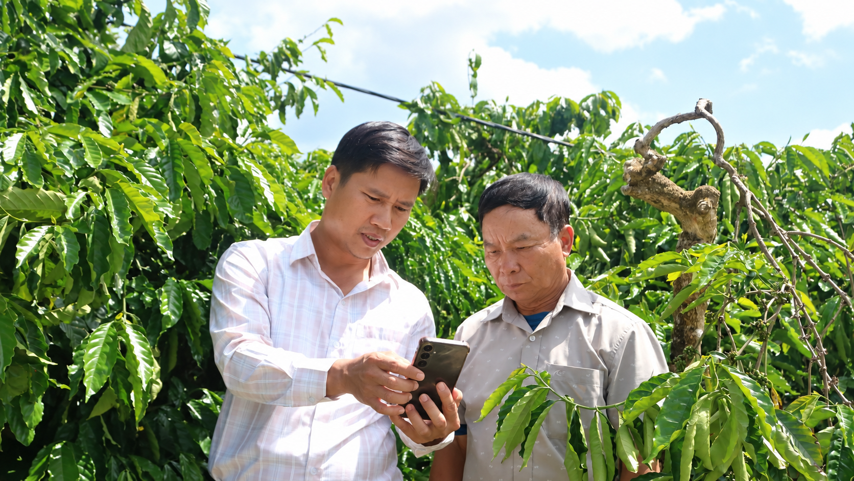 C&ocirc;ng nghệ số mở hướng ph&aacute;t triển kinh tế cho n&ocirc;ng d&acirc;n Quảng Ng&atilde;i- Ảnh 2.