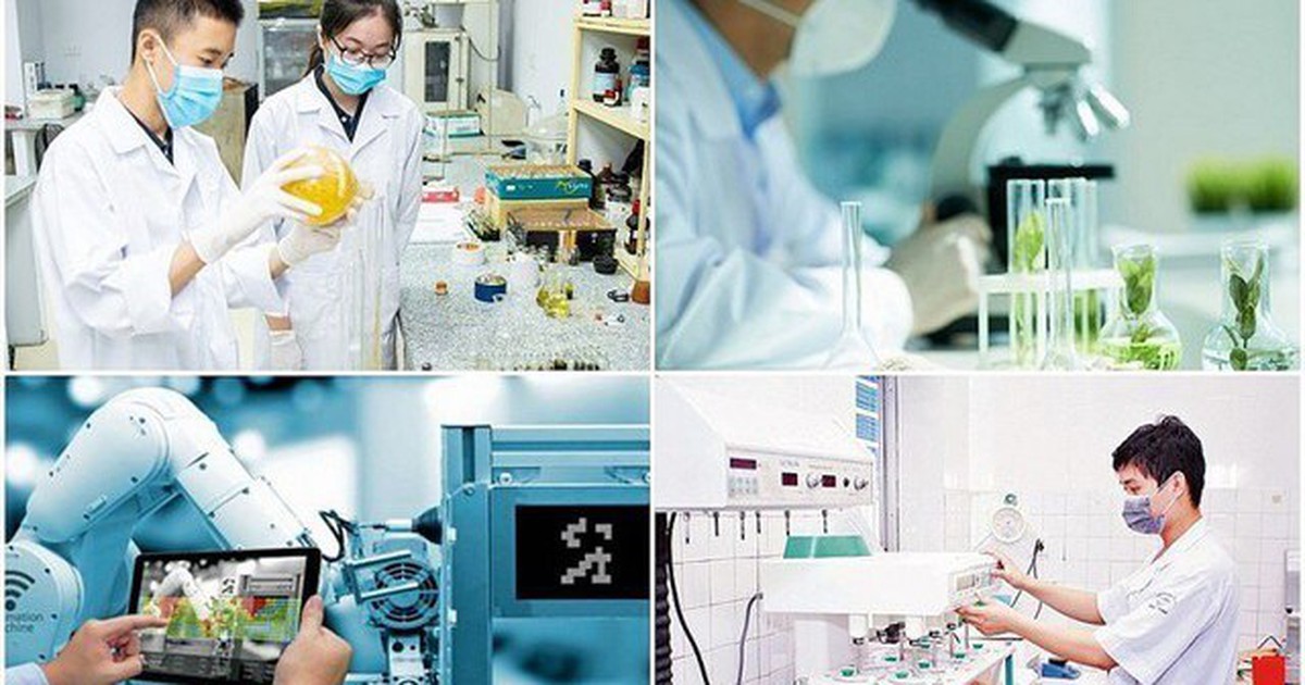 Cơ chế mới thu hút chuyên gia, tài năng trẻ trong lĩnh vực dữ liệu và đổi mới sáng tạo
