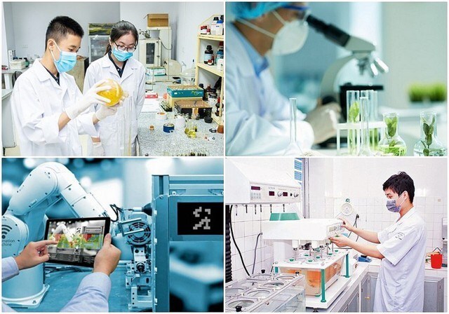 Cơ chế thu hút chuyên gia, tài năng trẻ trong hoạt động đổi mới sáng tạo, khai thác dữ liệu- Ảnh 1.